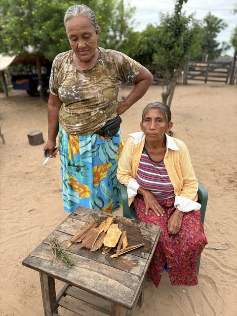 Guillermina ha Hortensia